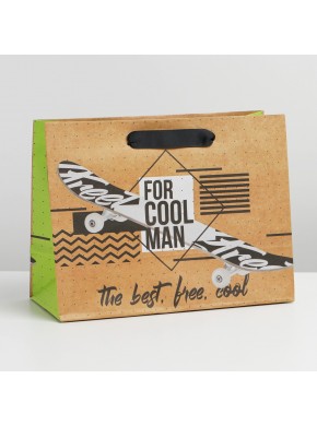 Пакет подарочный, бумажный «For cool man», MS 23 х 18 х 8 см